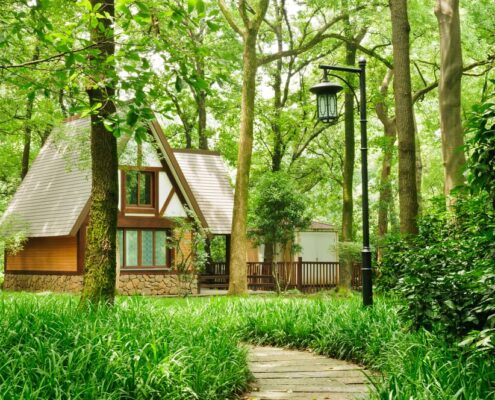 A house in the forest surrounded by trees